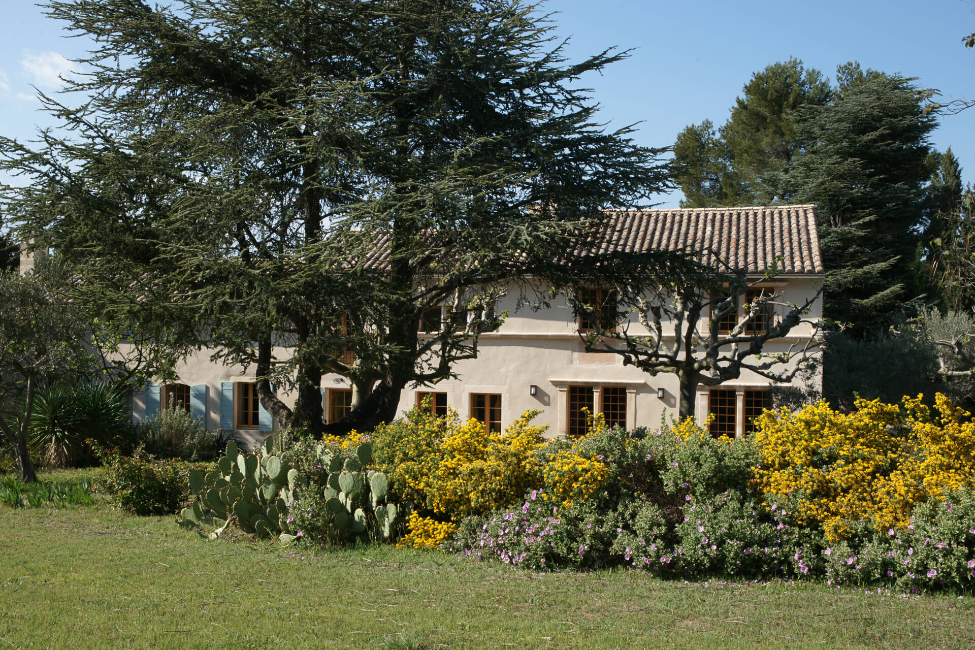 Location Mas de luxe Bellile avec jardin à Saint-Rémy-de-Provence | Mas Amor