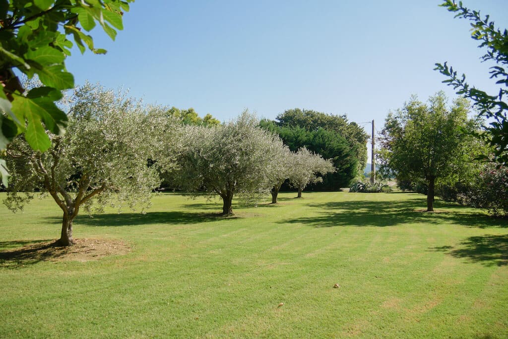 Location Mas de charme des Gantes avec jardin à Maillane | Mas Amor